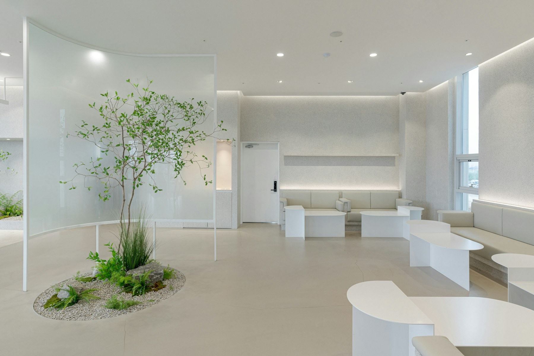 Sala de espera da clínica, branca e luminosa, com uma árvore ao centro